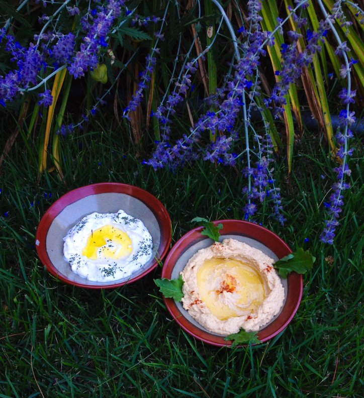 Duo hommos et labneh du jardin.jpg